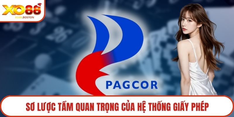 Sơ lược tầm quan trọng của hệ thống giấy phép