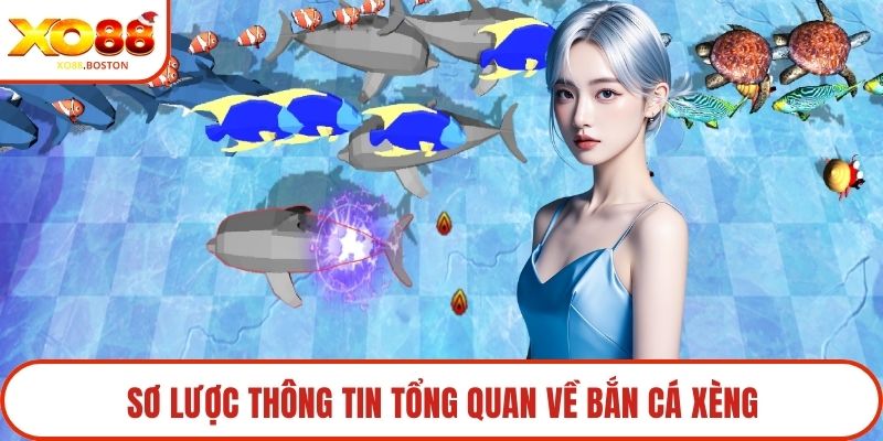 Sơ lược thông tin tổng quan về bắn cá xèng