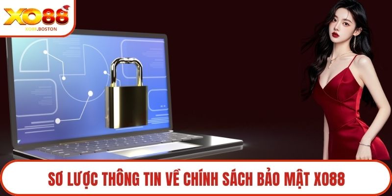 Sơ lược thông tin về trải nghiệm dịch vụ thú vị