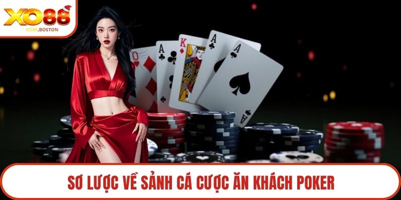 Sơ lược về sảnh cá cược ăn khách poker
