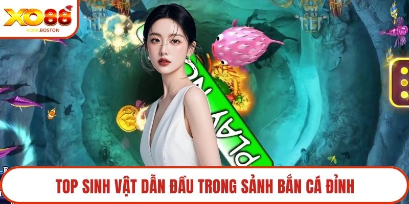 Top sinh vật dẫn đầu trong sảnh bắn cá đỉnh